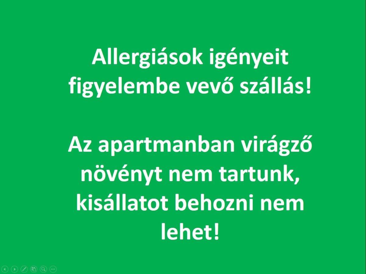 Smart Business Apartman Мисколк Екстериор снимка